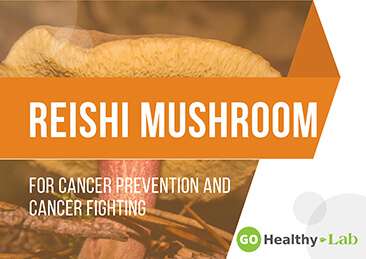 reishi mushroom