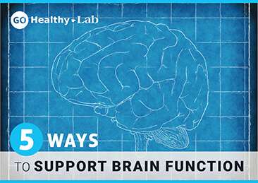 support brain function