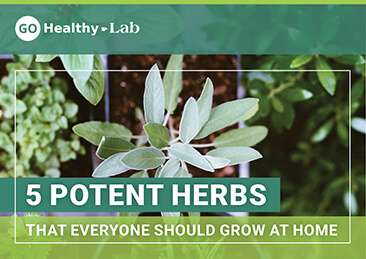 potent herbs