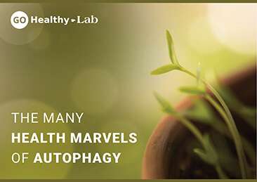 autophagy